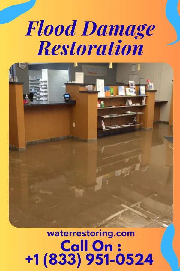 Flood Damage Restoration in Blue Hill, NE