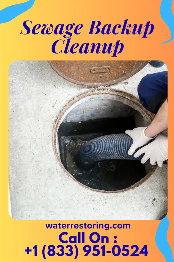 Sewage Backup Cleanup in Blue Hill, NE